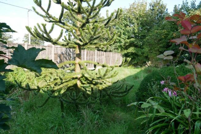 Gardens