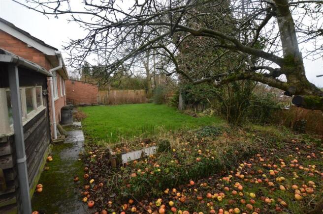 BACK GARDEN