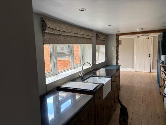 Kitchen and cat