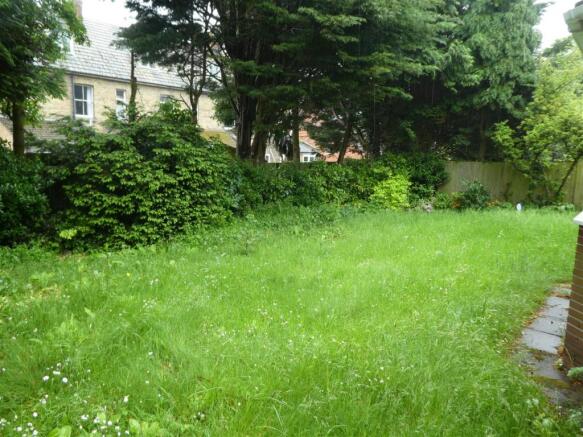 garden 2.JPG