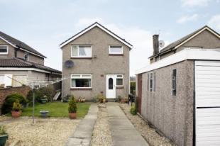 Rear Gardens