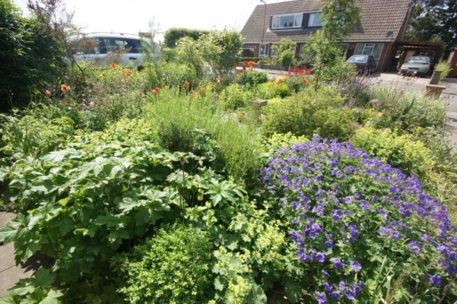 Front Gardens