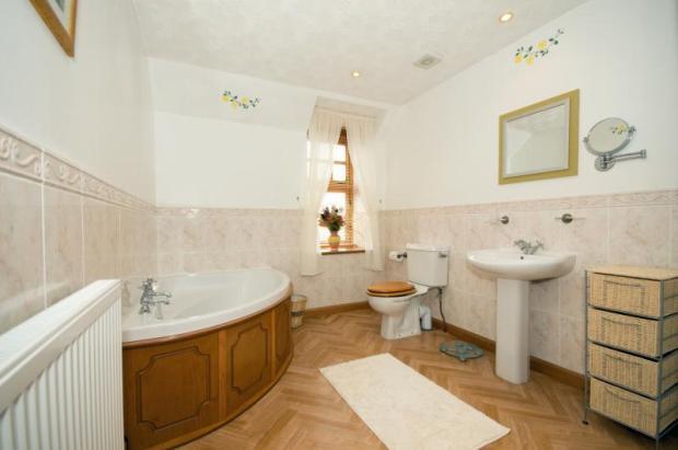 Photo 12