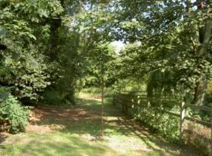 Garden Photo 4