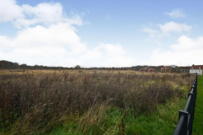 Surrounding Area
