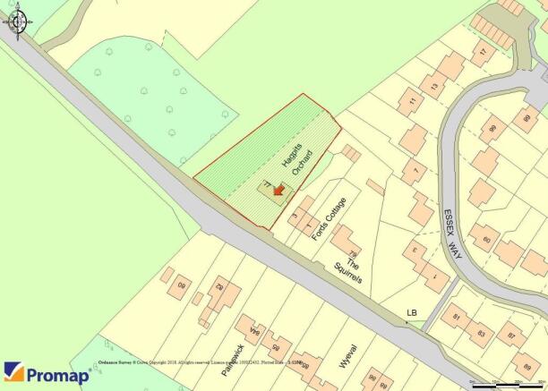 site plan