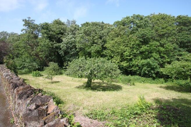 Orchard