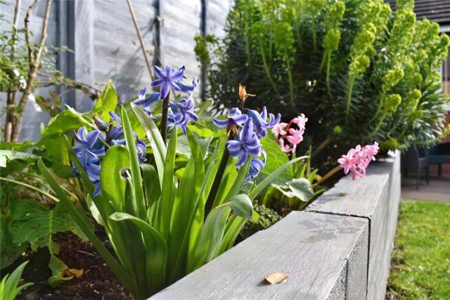 Flower Bed