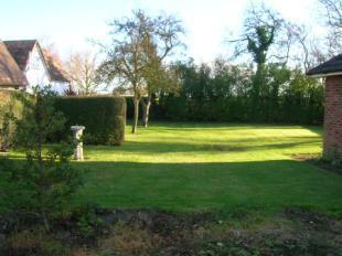 Side Garden