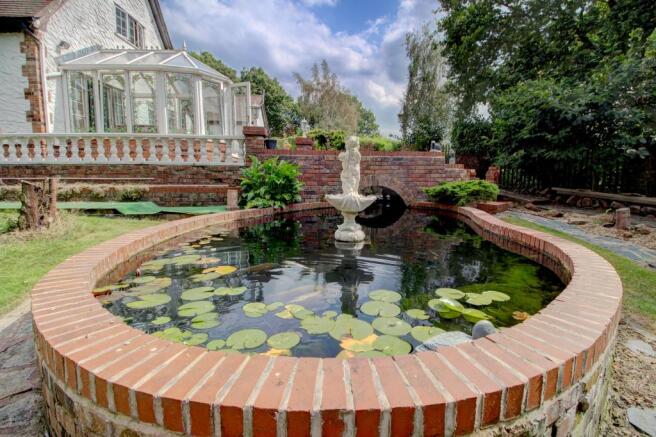 Pond & Bridge