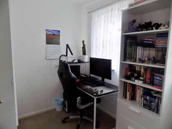 Photo 11