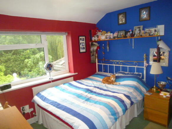 Photo 15