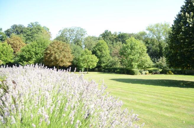 GARDEN