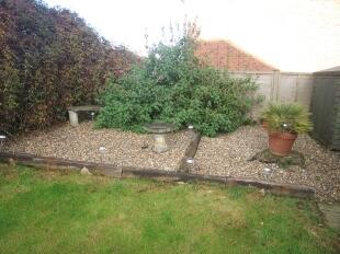 Garden 2