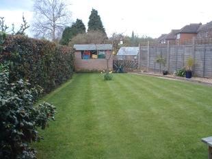 Garden 2