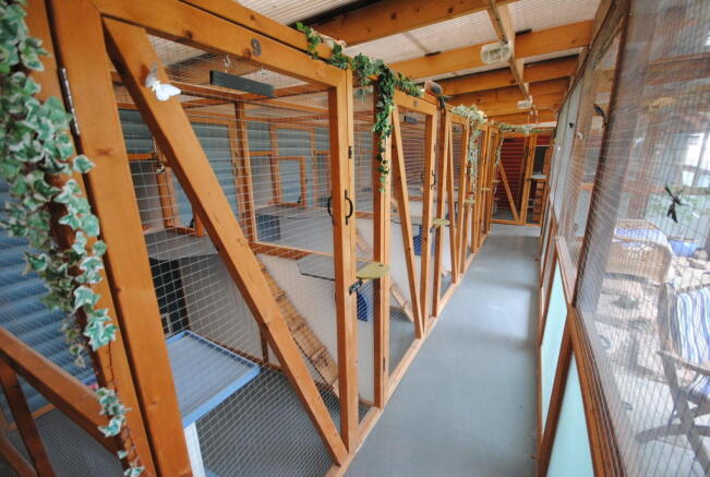 Photo 22