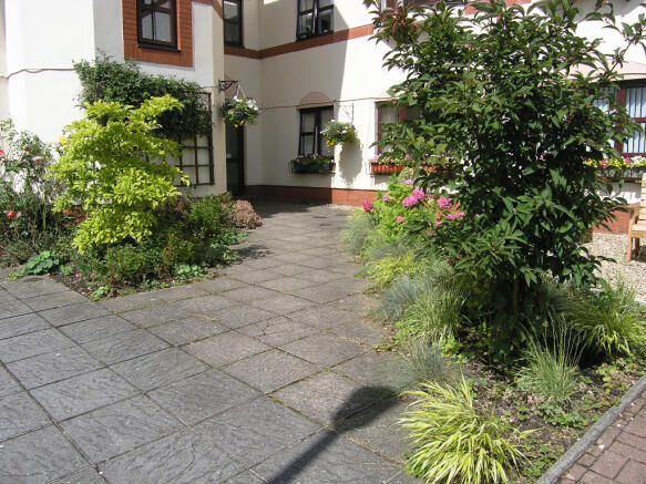 Photo 11