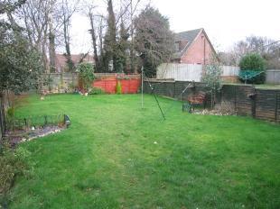 Garden 2