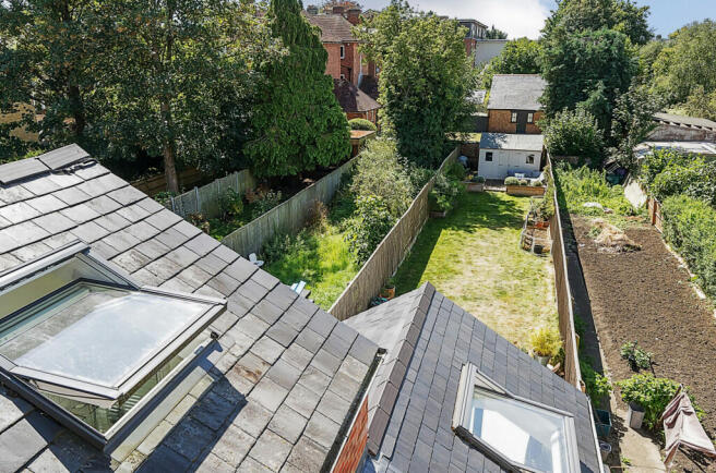 View Of Garden