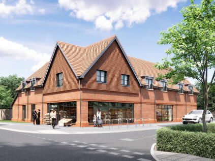 Blackhall Meadow, Loxwood