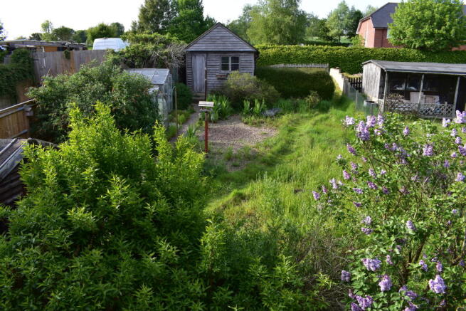 Photo 10