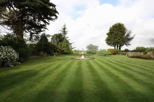 Garden 1