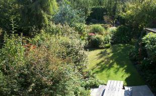 Rear Garden View 2