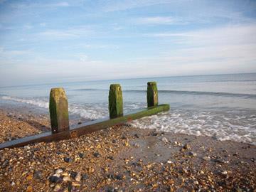 groynes on beach.jpg