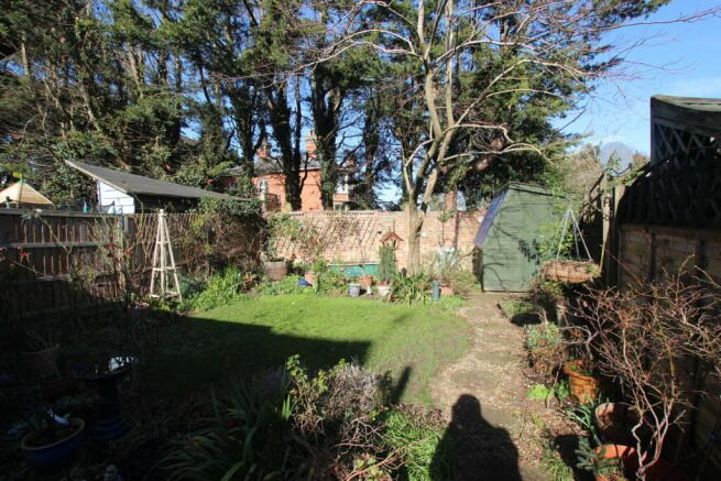 Photo 15