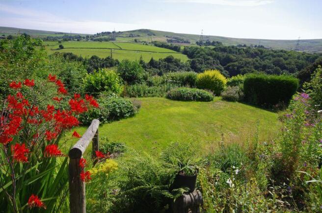 Garden and view