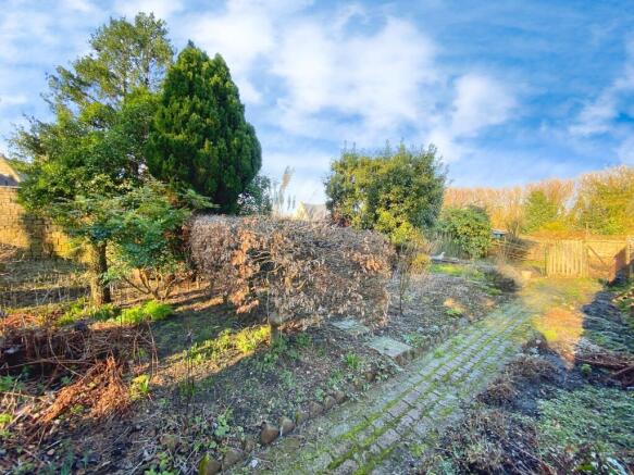 Top garden