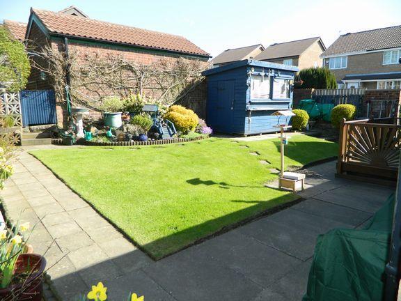 garden