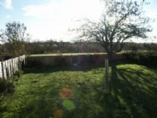 Rear Garden: