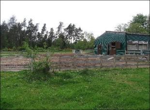 Exercise area