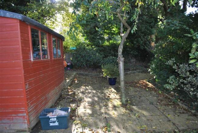 Photo 13