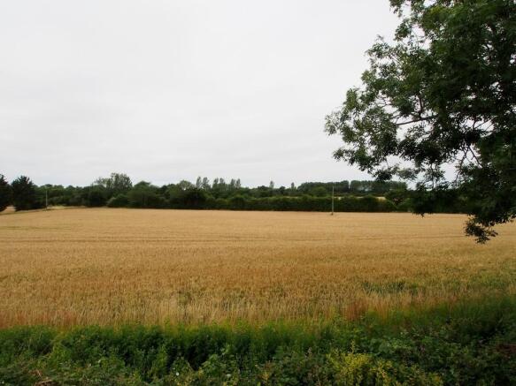 Photo 46