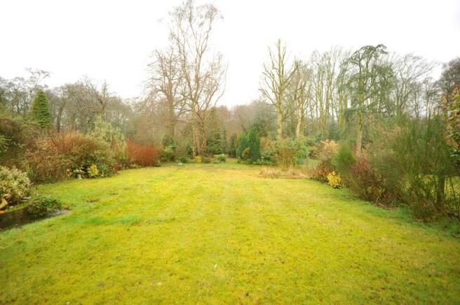 Garden 1