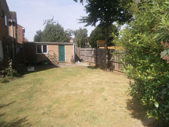 Photo 11