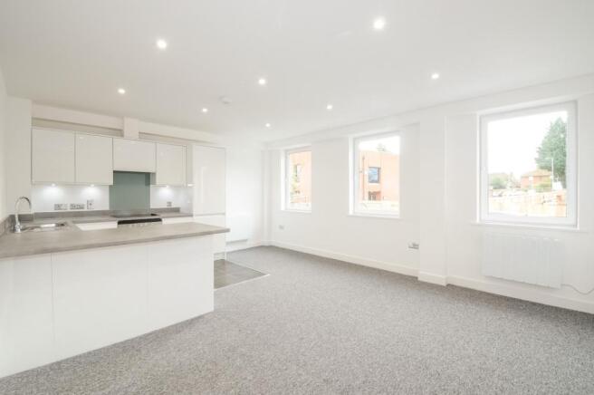 Kitchen/Living Room