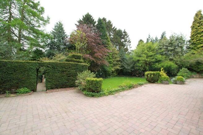 garden 3