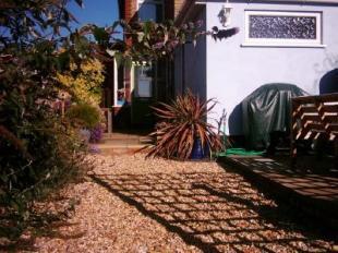Patio - summer