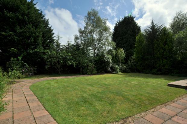 rear gdn
