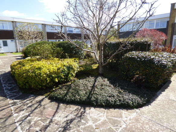 Communal Gardens