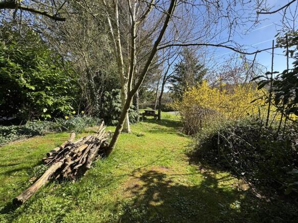 Woodland area 1