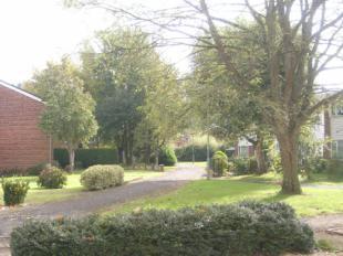 View To Front