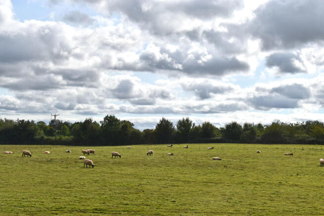 Countryside Views