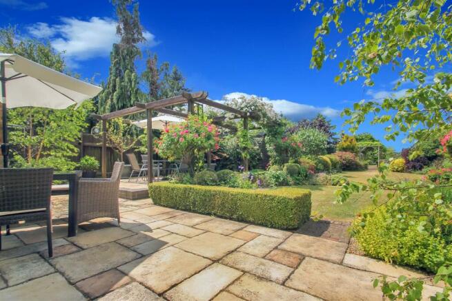 IMG_5310.JPG