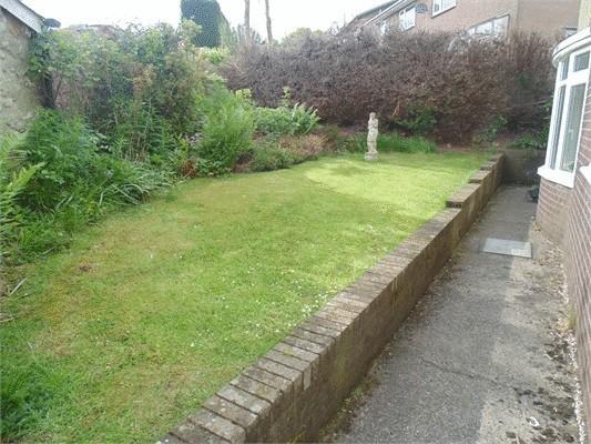 Photo2