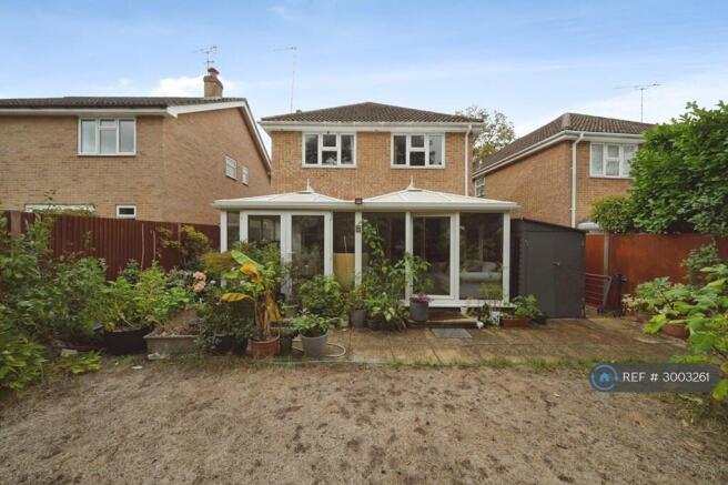 Back Garden