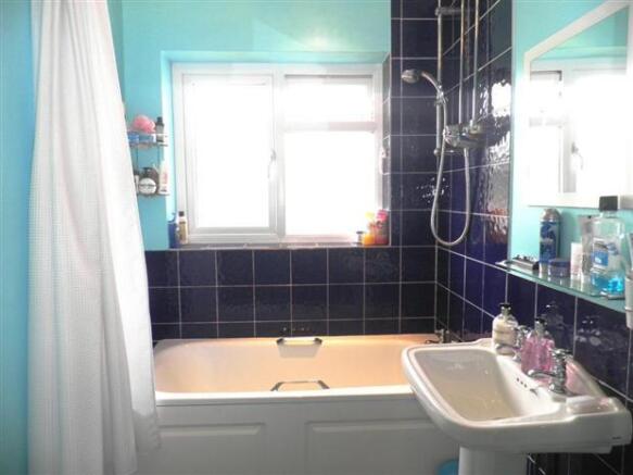 Photo 11